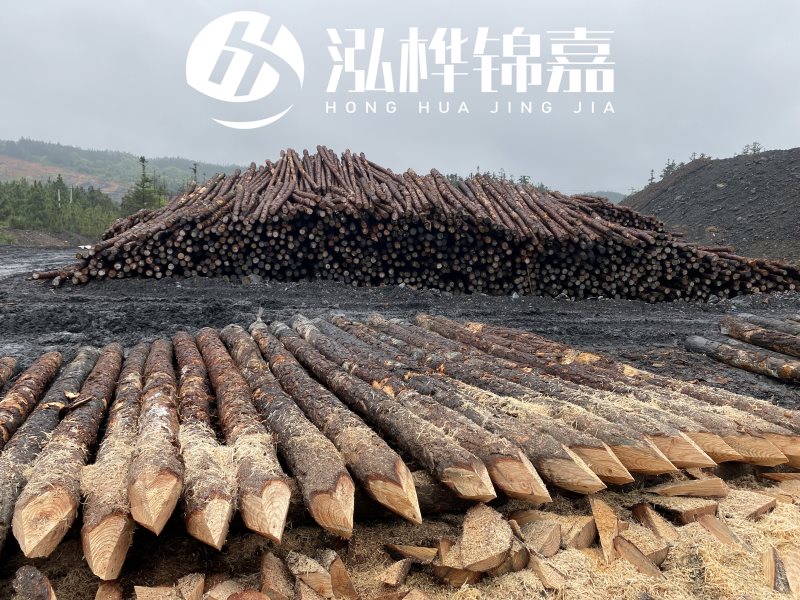 6米長松木樁有哪些作用，多少錢一根？