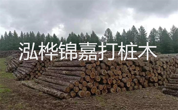 選擇紅磚護(hù)坡，打造獨(dú)特的美麗景觀(guān)