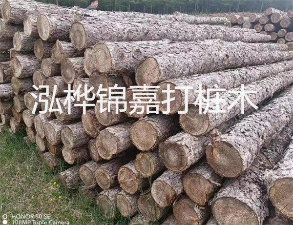 高效修補(bǔ)，保駕護(hù)航！水泥路面高強(qiáng)度修補(bǔ)料為您解決煩惱！