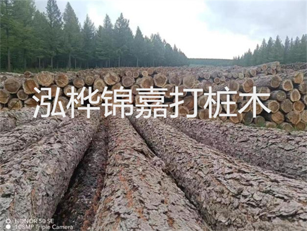 高效施工，圓松木樁助力建筑工程進展順利