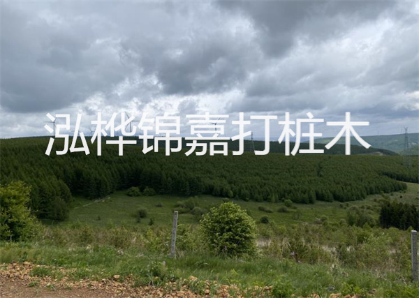 松木樁能重復(fù)施工么？