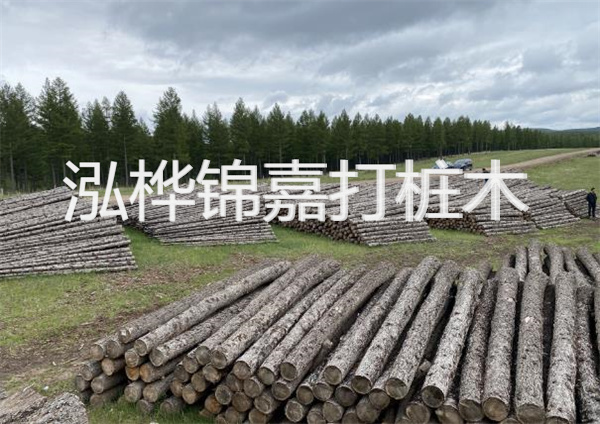 鋼結(jié)構(gòu)施工方案大全免費(fèi)提供，助力工程建設(shè)