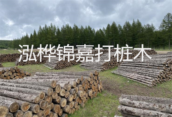 預(yù)制松木樁施工工藝：優(yōu)質(zhì)材料，高效快速，堅(jiān)固耐用