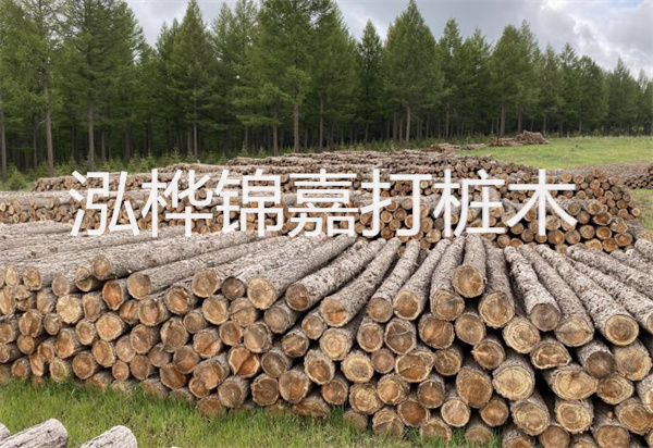 松木樁能施工嗎？探究視頻揭秘真相！