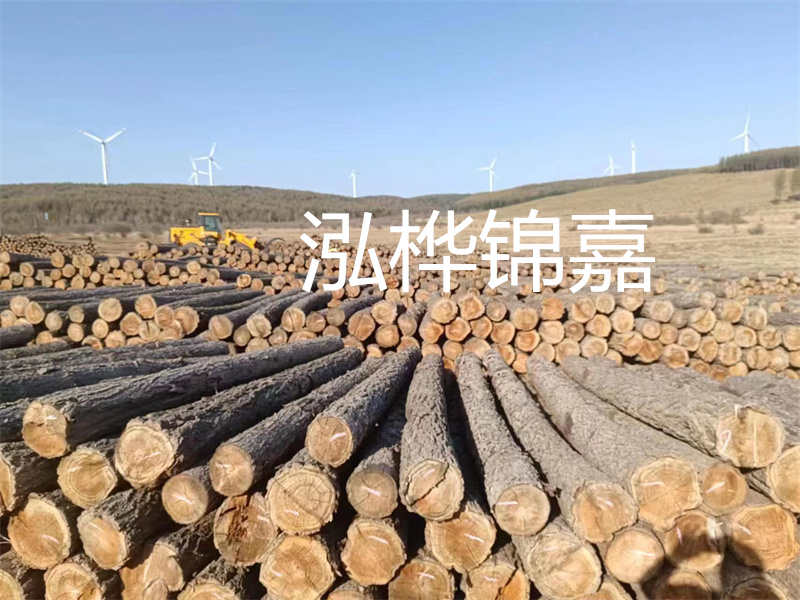 溫州松木樁施工廠家——為您打造堅(jiān)固穩(wěn)定的建筑基礎(chǔ)！