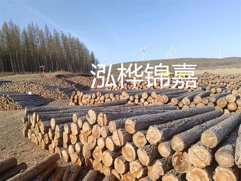 用路基松木樁施工方案提升工程質(zhì)量描述：了解路基松木樁施工方案的重要性，提高工程質(zhì)量關(guān)鍵詞：路基松木樁，施工方案，工程質(zhì)量