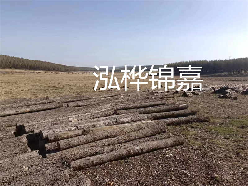 鄂州松木樁哪里好？推薦泓樺錦嘉松木樁業(yè)！