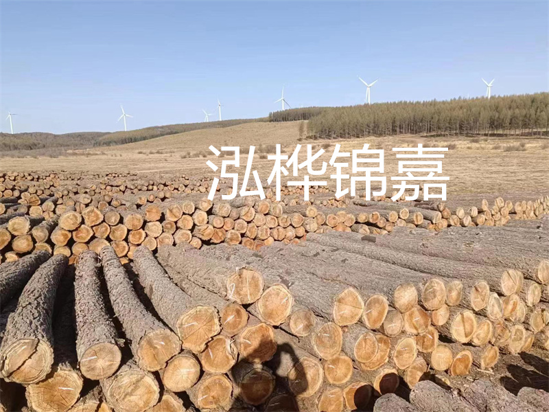 濟(jì)南哪里賣(mài)松木木樁？